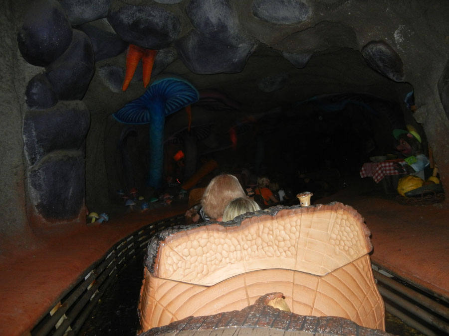 Disneyland Splash Mountain Ride Pictures